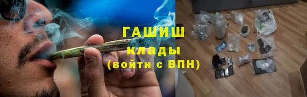 прущие грибы Алзамай