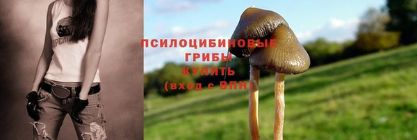 a pvp Армянск