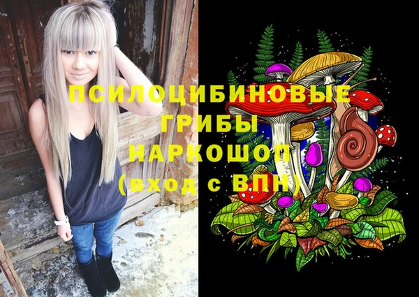МДПВ Алексин
