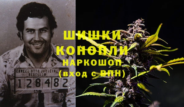 СК Арсеньев