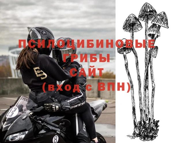 a pvp Армянск