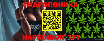 a pvp Аргун
