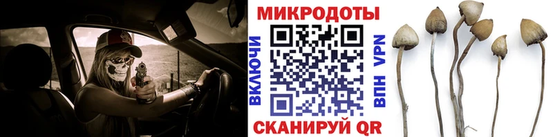 Галлюциногенные грибы Psilocybine cubensis  Баксан 