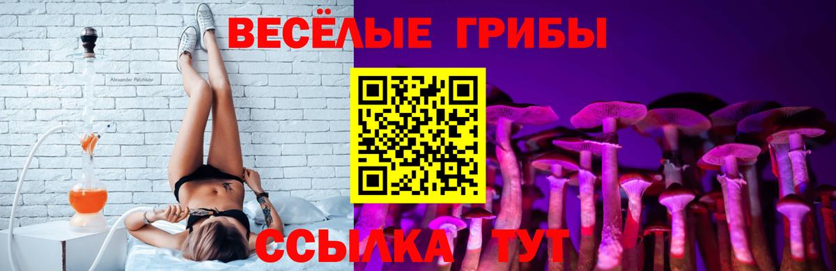 Галлюциногенные грибы прущие грибы  где найти наркотики  Баксан  Вход с VPN  Галлюциногенные грибы Magic Shrooms 